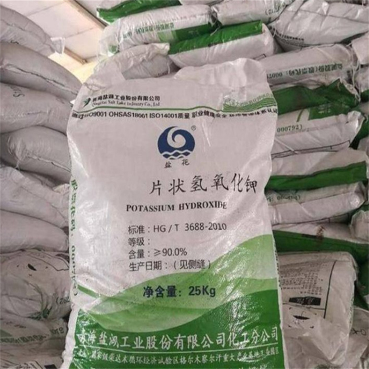大鸡巴日小逼的h视频